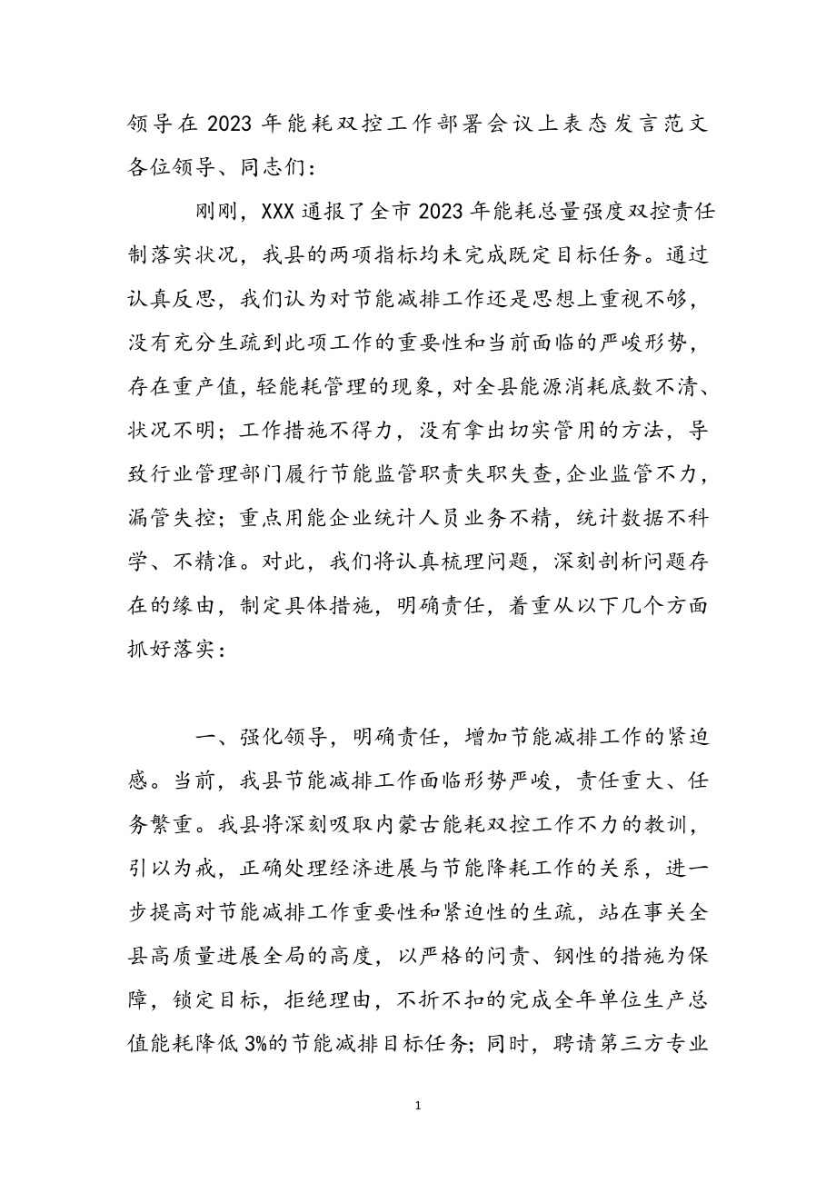 领导在2023年能耗双控工作部署会议上表态发言.docx_第2页