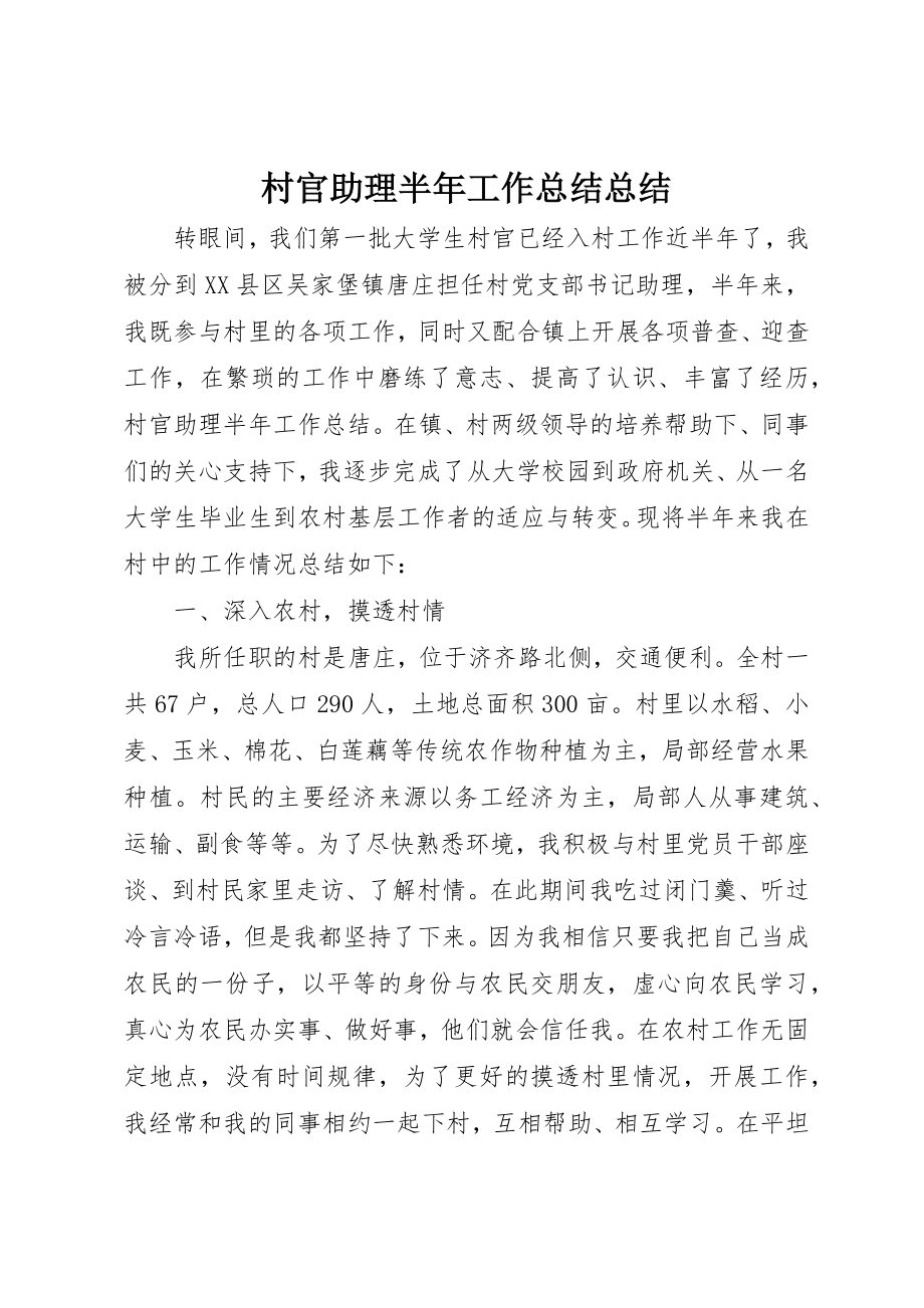 2023年村官助理半年工作总结总结新编.docx_第1页