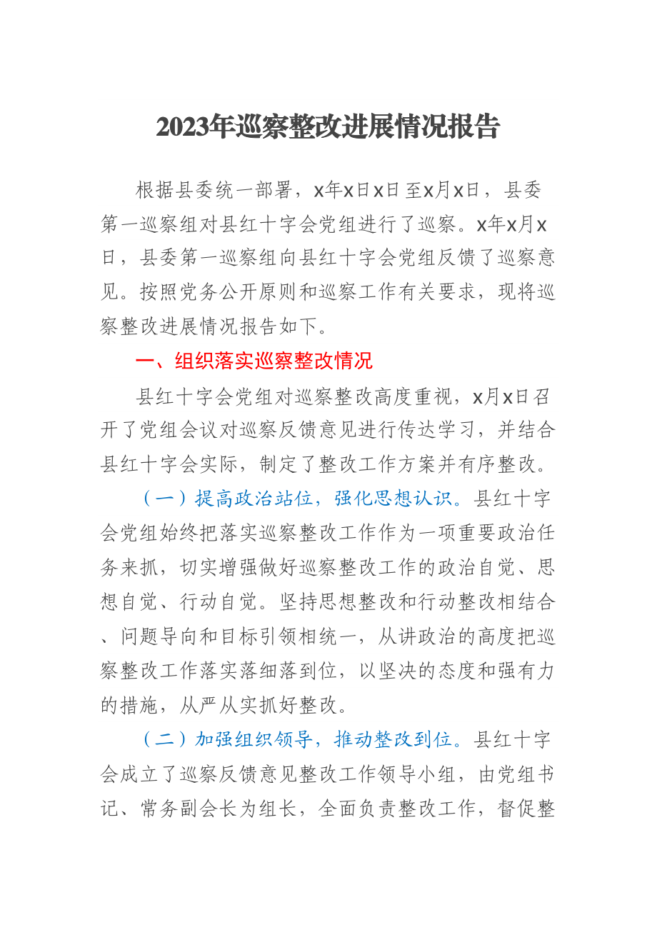 2023年巡察整改进展情况报告 .docx_第1页