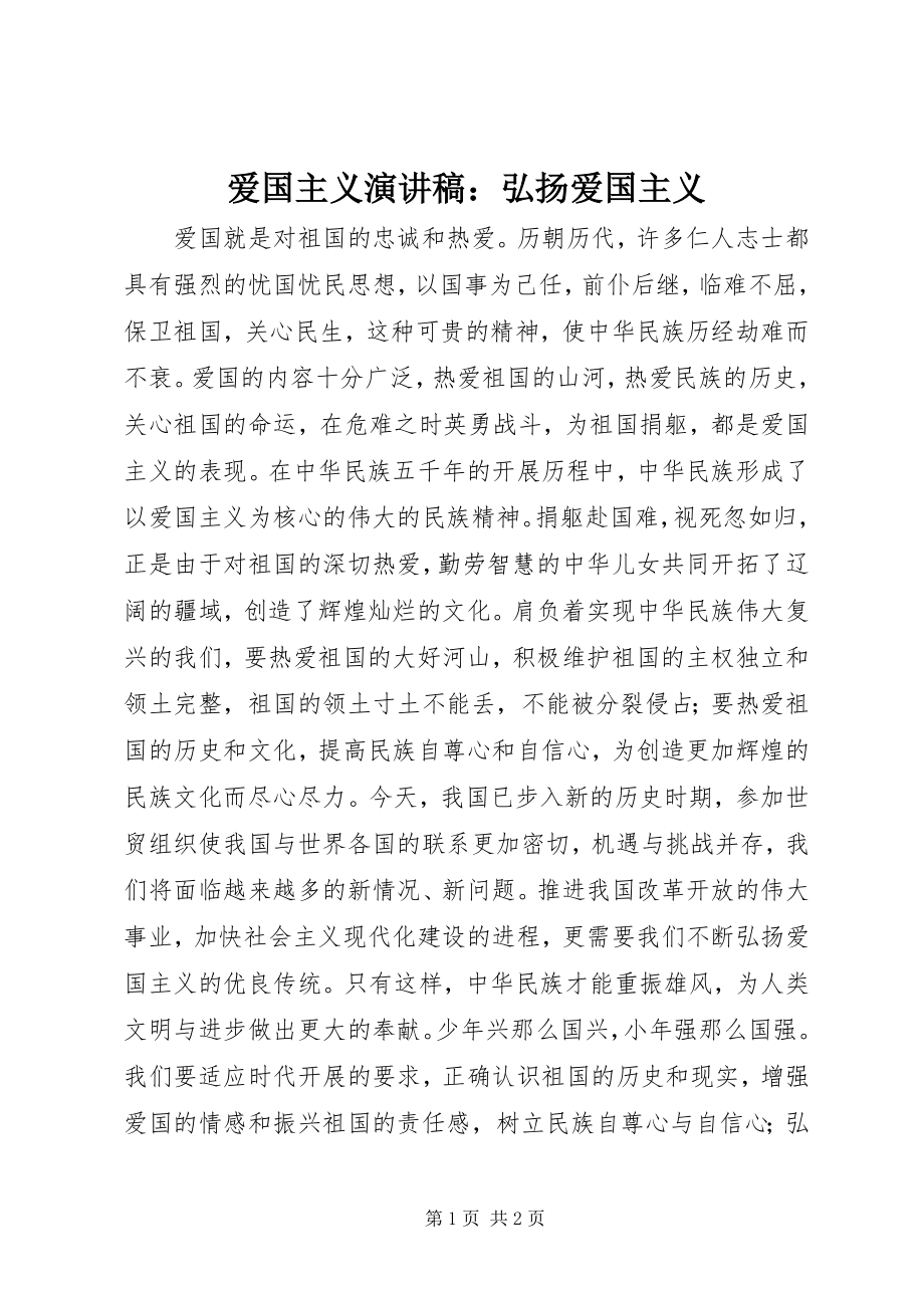 2023年爱国主义演讲稿弘扬爱国主义2新编.docx_第1页