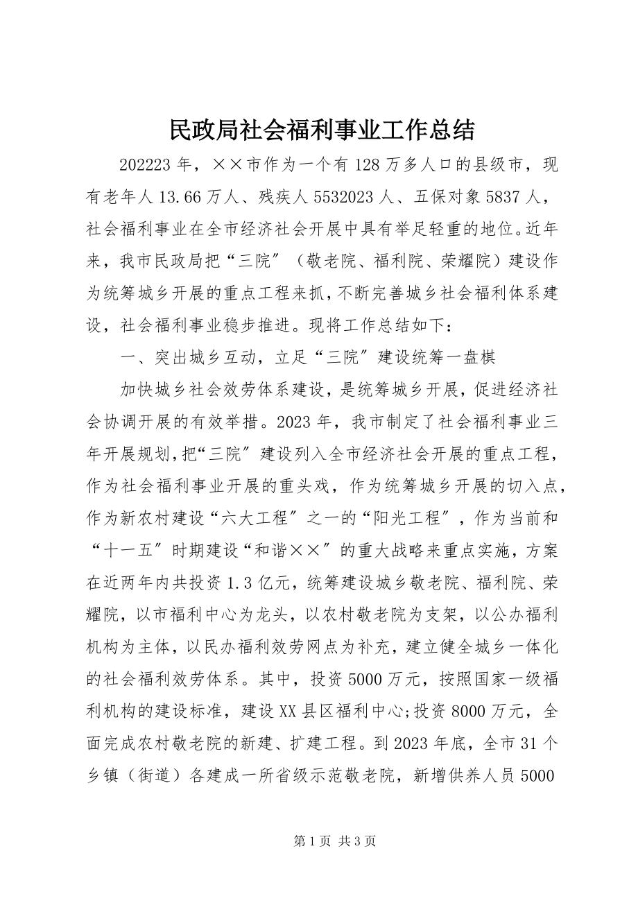 2023年民政局社会福利事业工作总结.docx_第1页