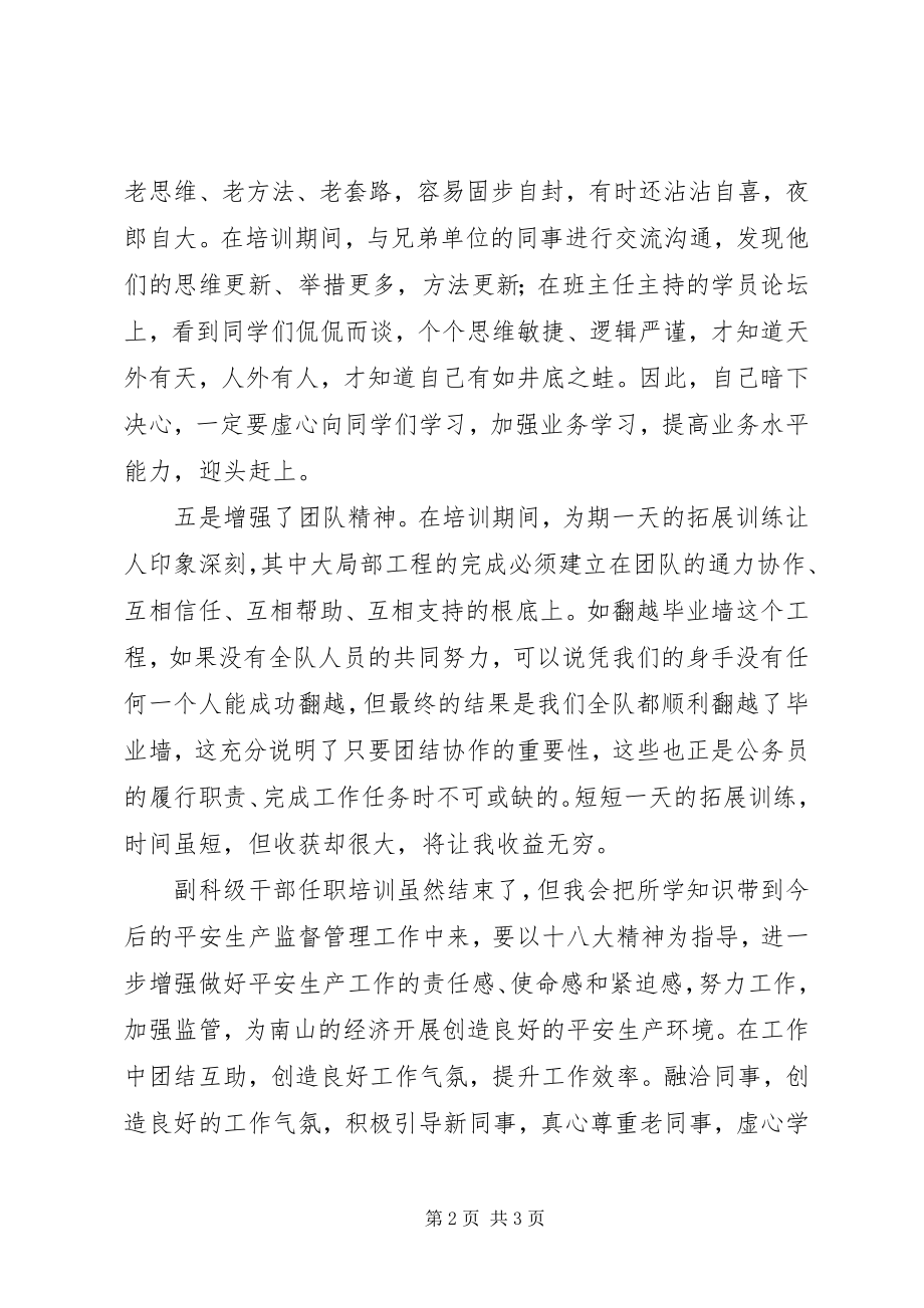 2023年副科级干部安全监察工作任职培训学习心得.docx_第2页