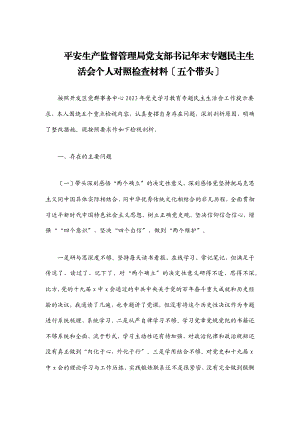 2023年安全生产监督管理局党支部书记年末专题民主生活会个人对照检查材料五个带头.docx