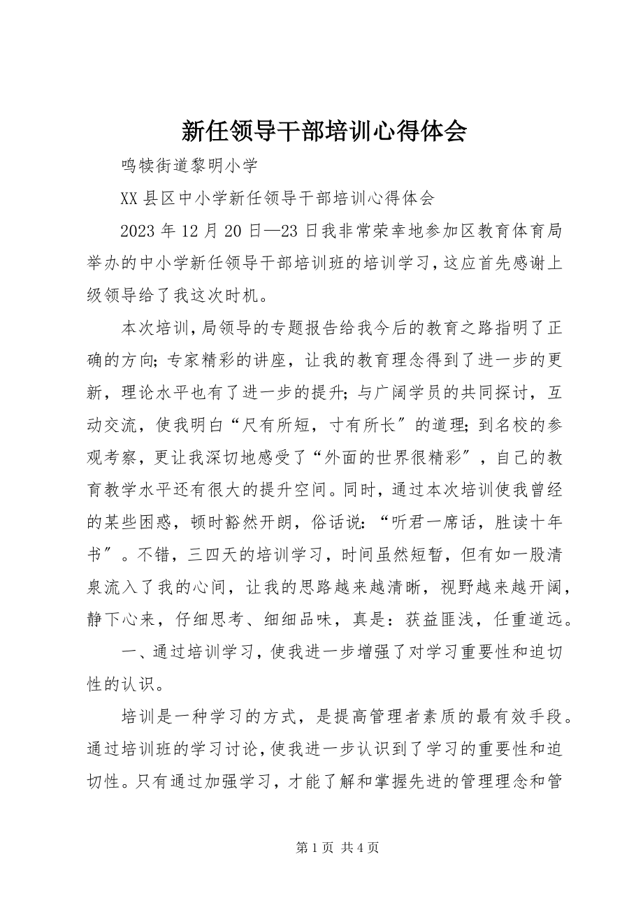 2023年新任领导干部培训心得体会.docx_第1页