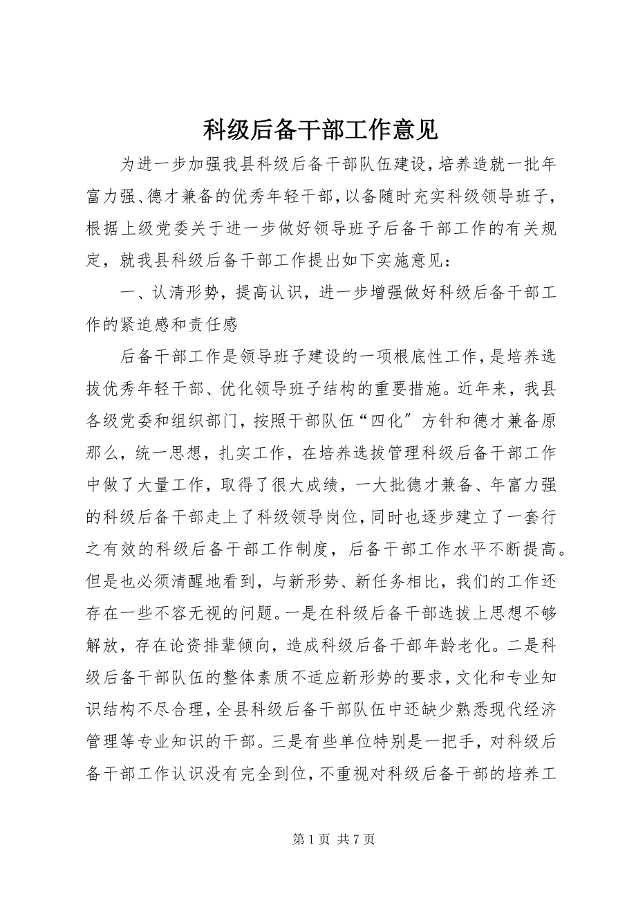 2023年科级后备干部工作意见.docx_第1页