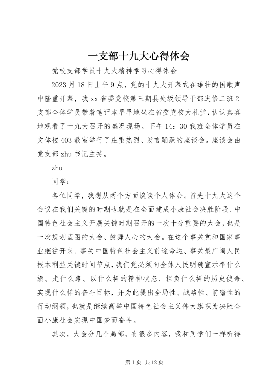 2023年一支部十九大心得体会.docx_第1页