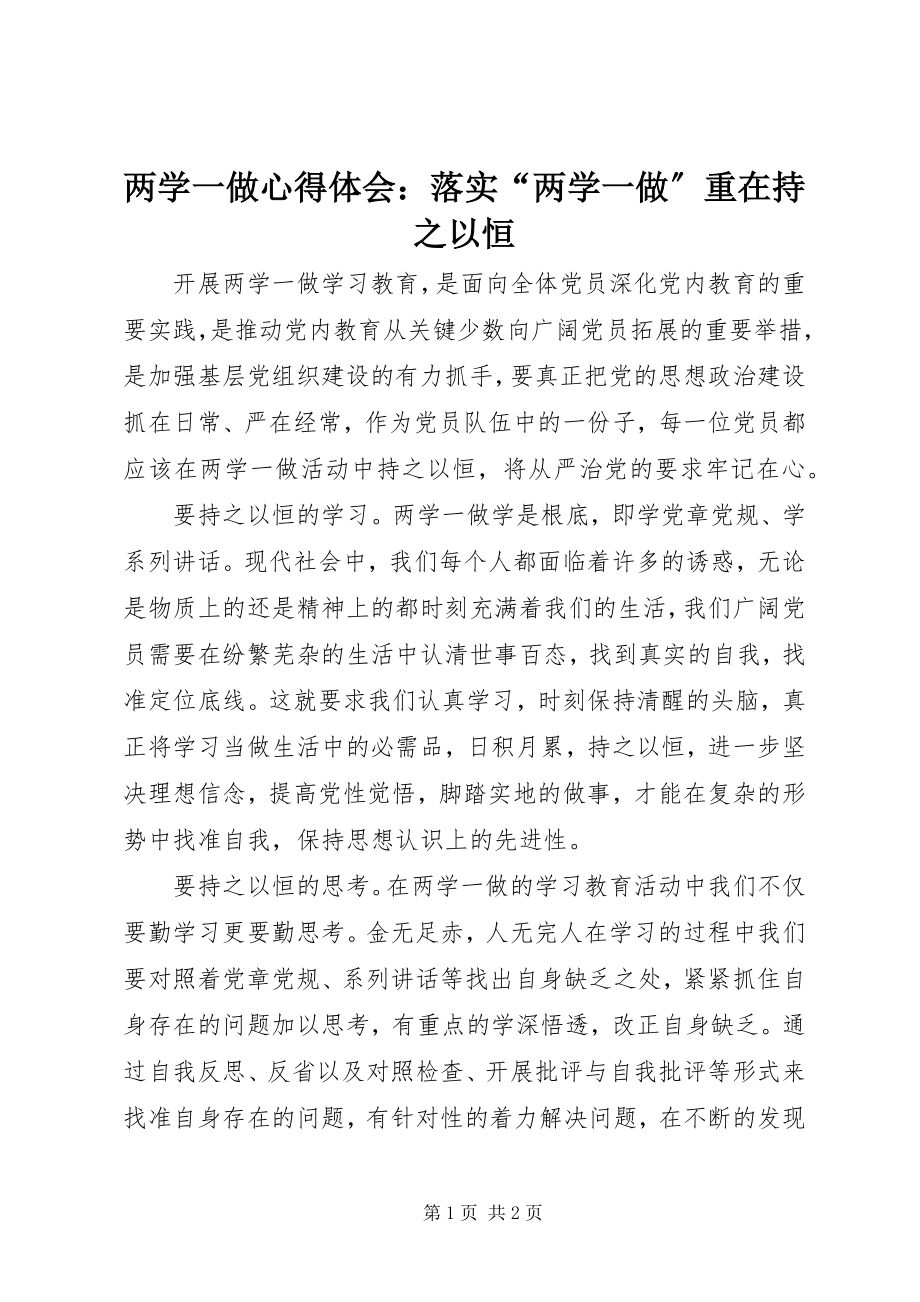 2023年两学一做心得体会落实“两学一做”重在持之以恒.docx_第1页