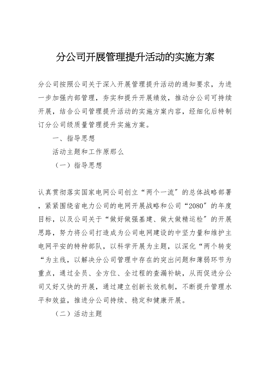 2023年分公司开展管理提升活动的实施方案.doc_第1页