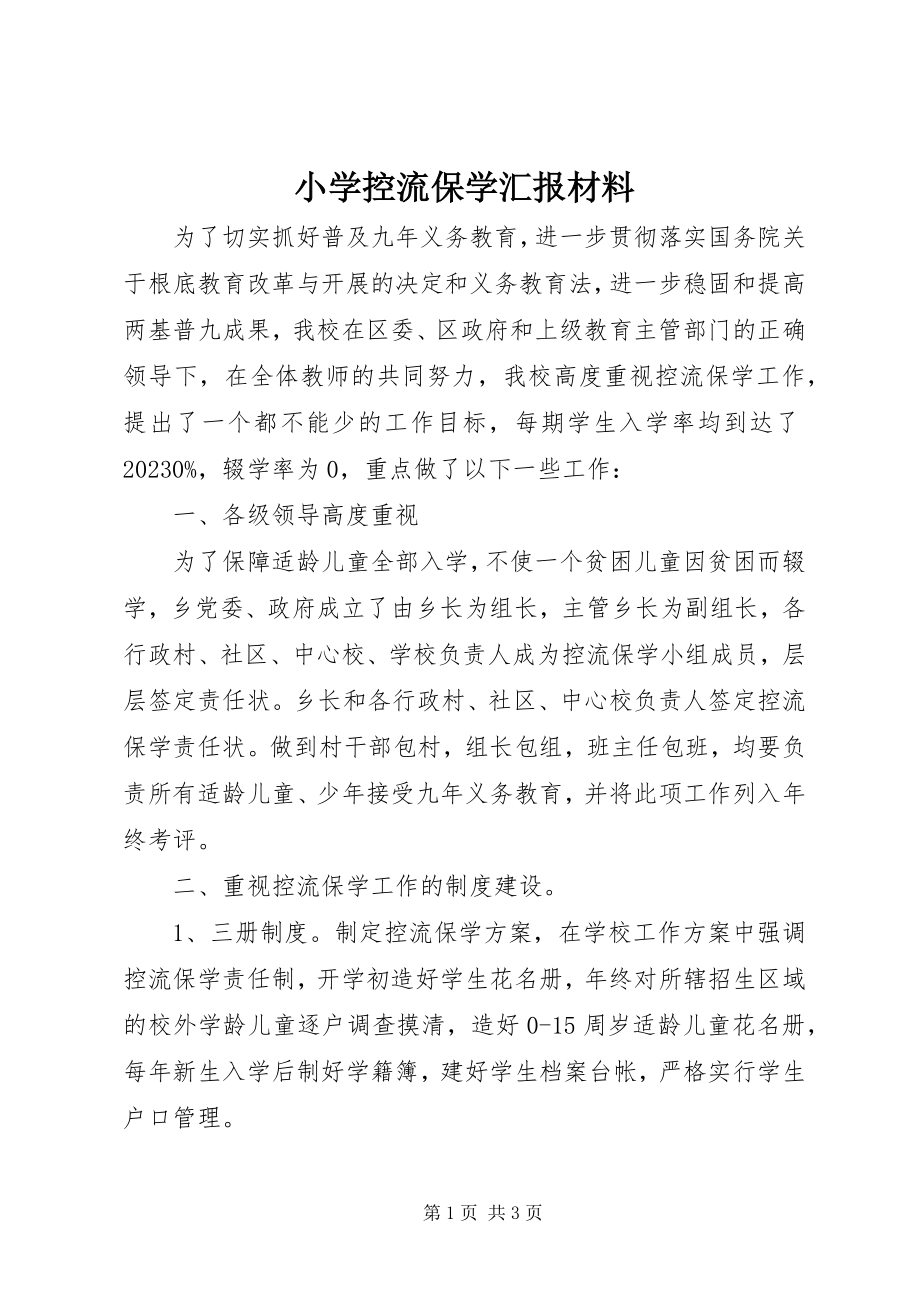 2023年小学控流保学汇报材料.docx_第1页