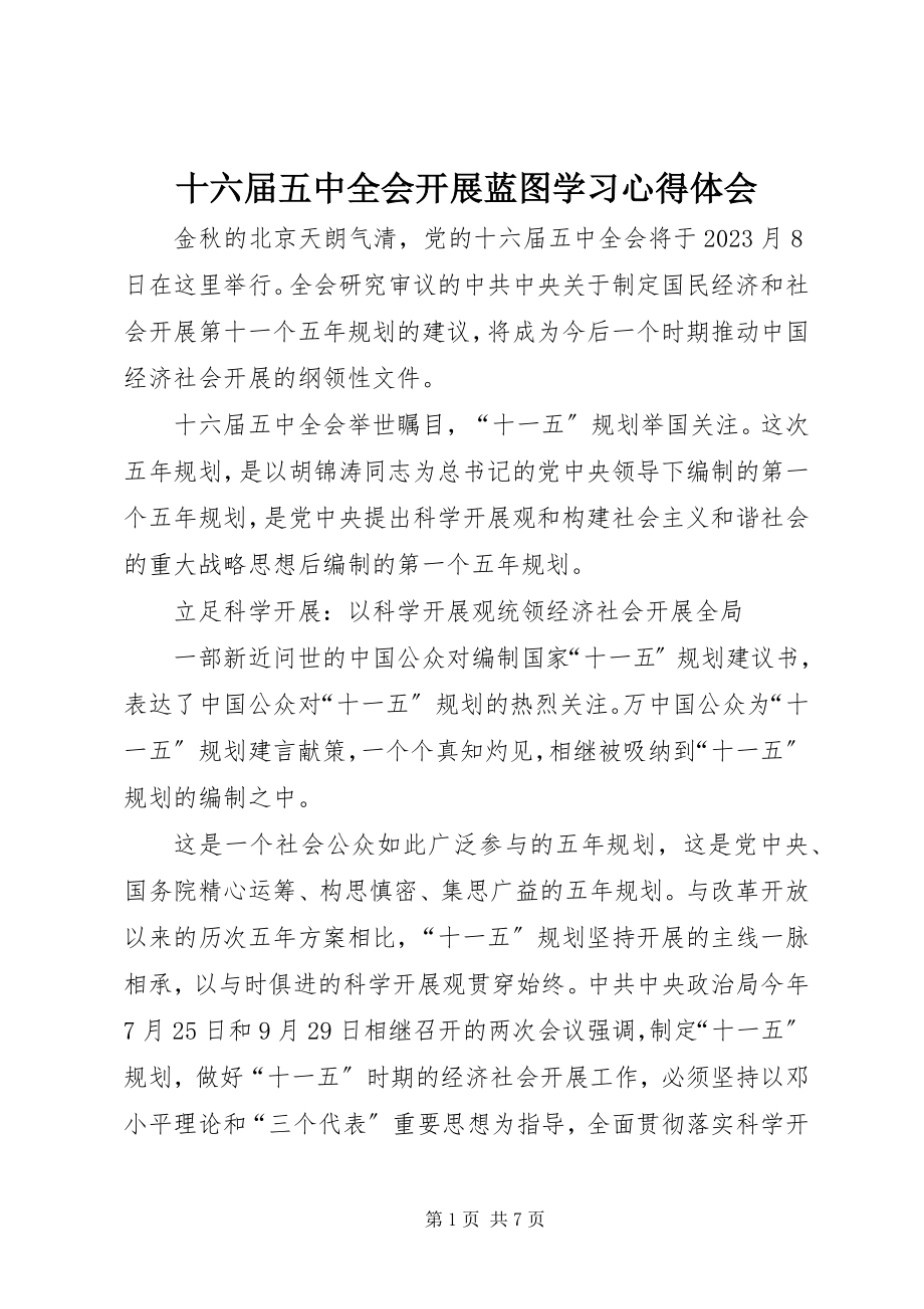 2023年十六届五中全会发展蓝图学习心得体会.docx_第1页