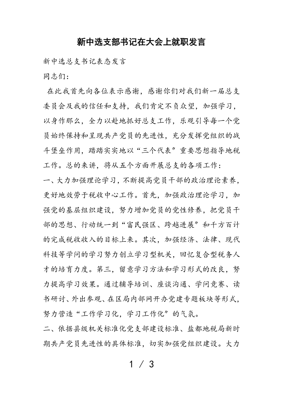 2023年新当选支部书记在大会上就职发言.doc_第1页