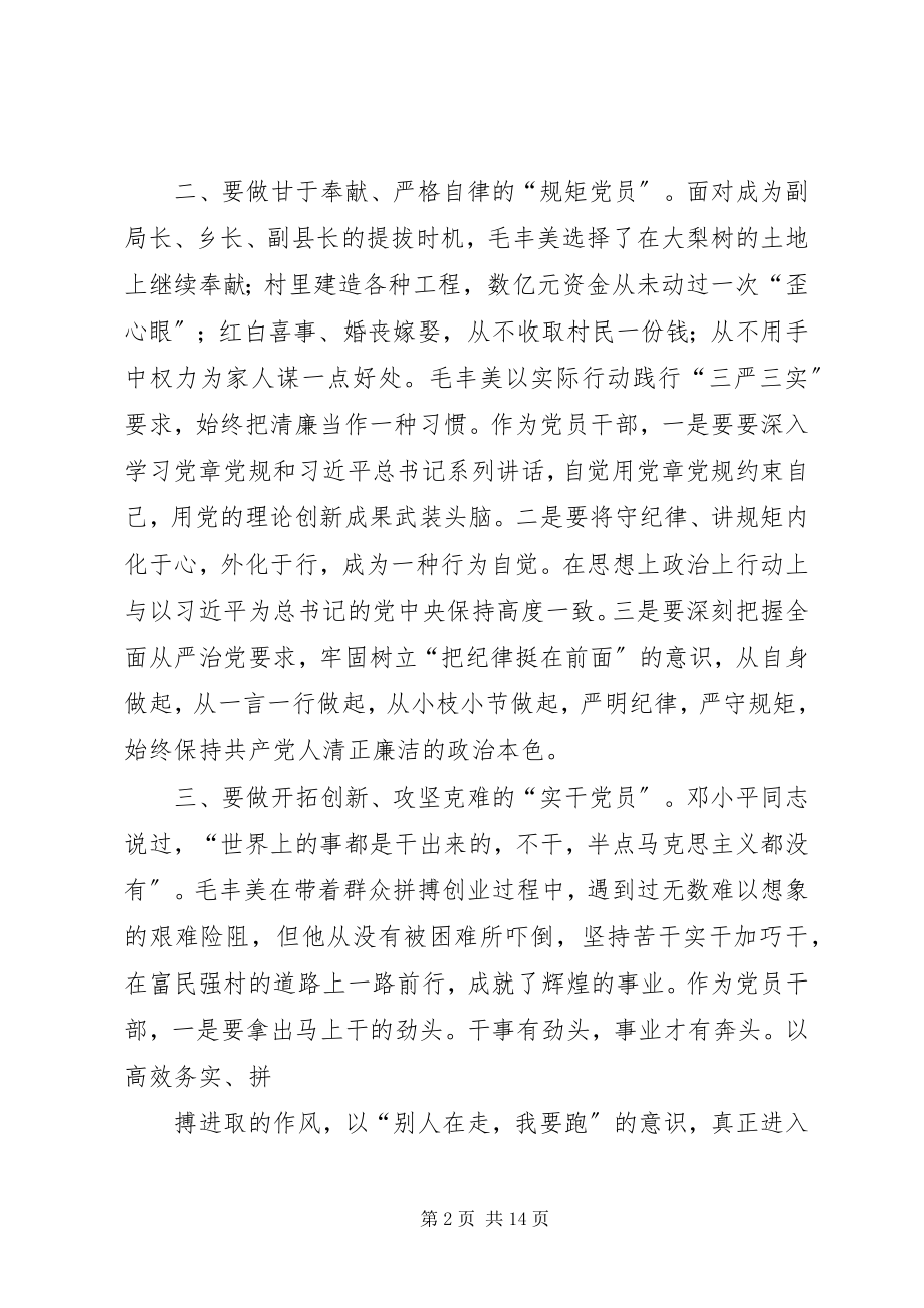 2023年学习毛丰美实干促振兴专题研讨讲话提纲.docx_第2页