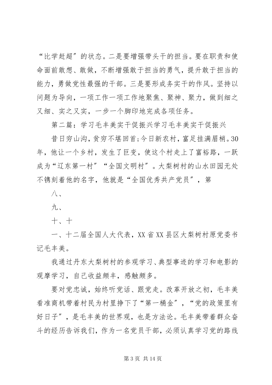 2023年学习毛丰美实干促振兴专题研讨讲话提纲.docx_第3页