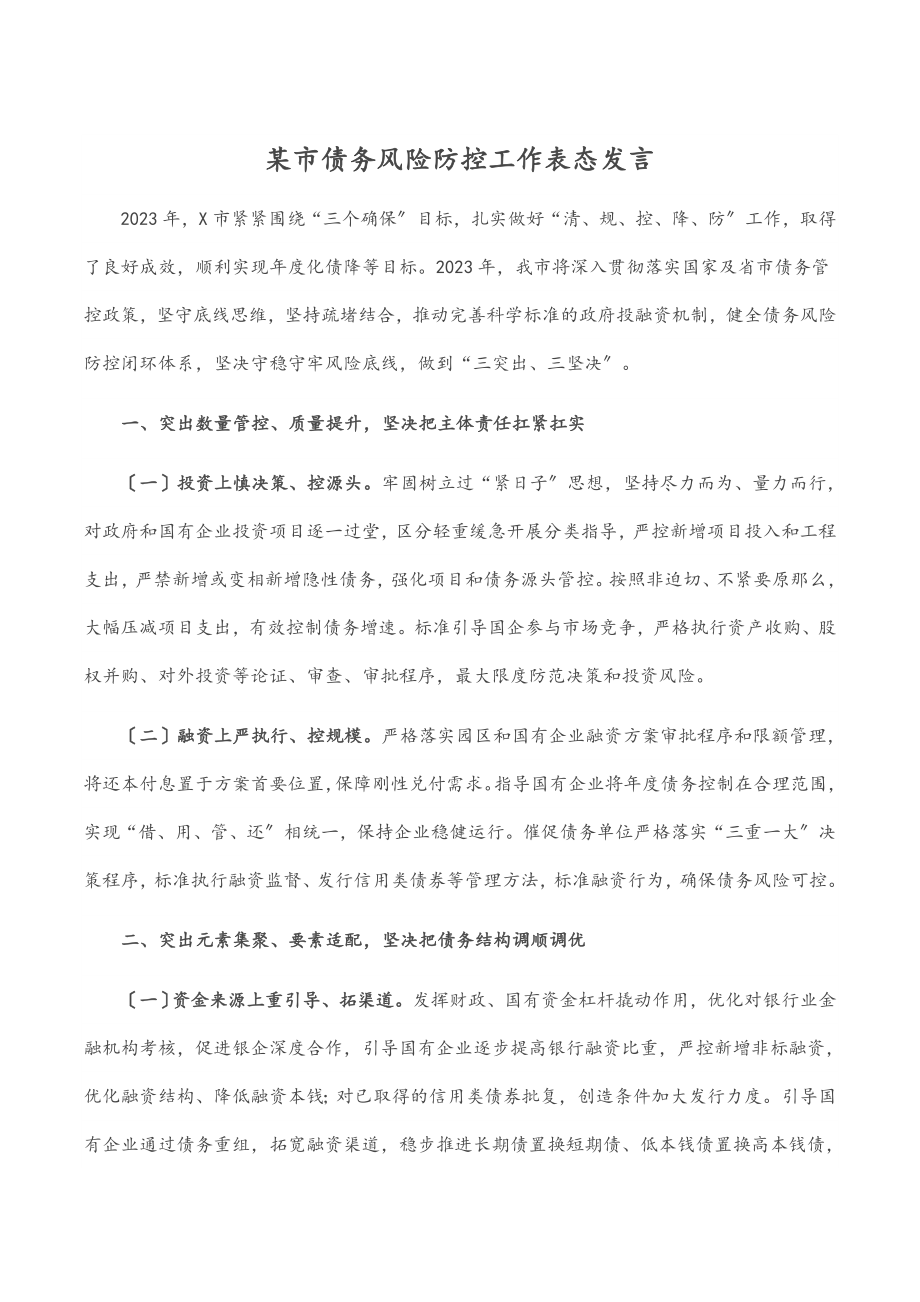 某市债务风险防控工作表态发言.docx_第1页