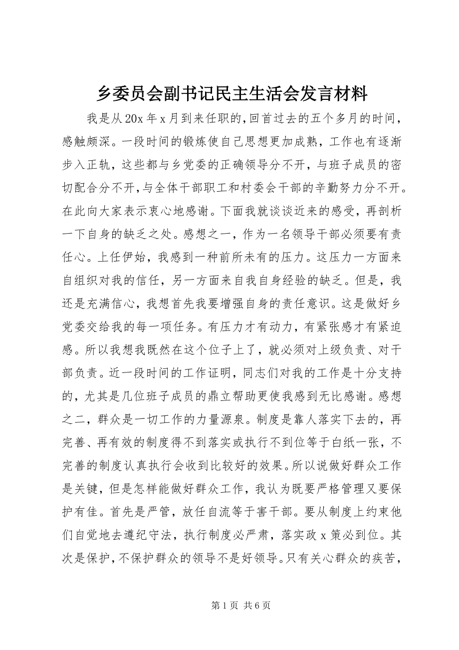 2023年乡委员会副书记民主生活会讲话材料.docx_第1页