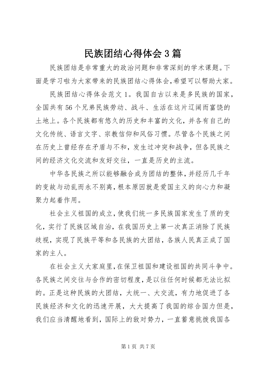 2023年民族团结心得体会3篇.docx_第1页