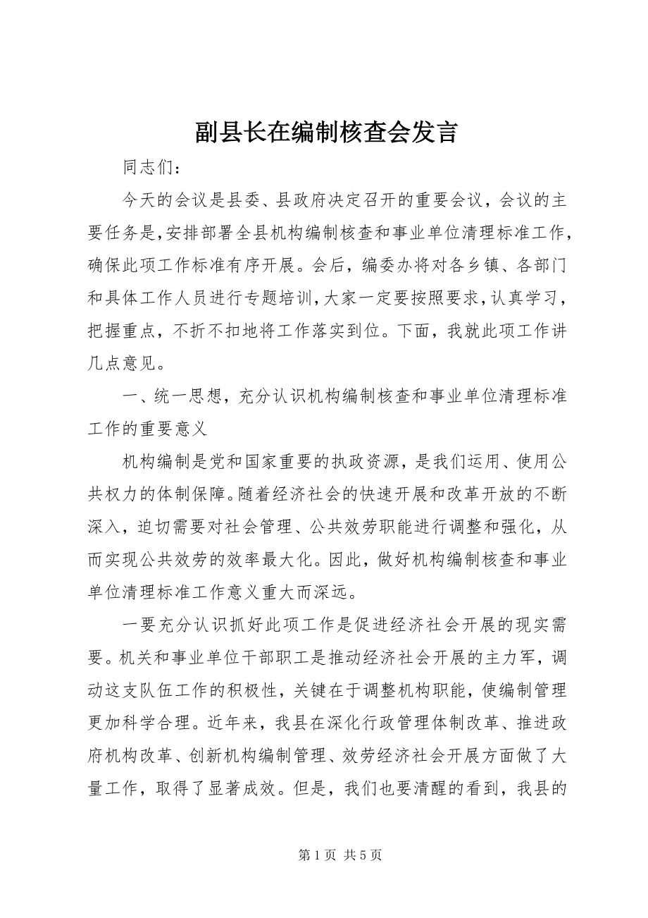 2023年副县长在编制核查会讲话.docx_第1页