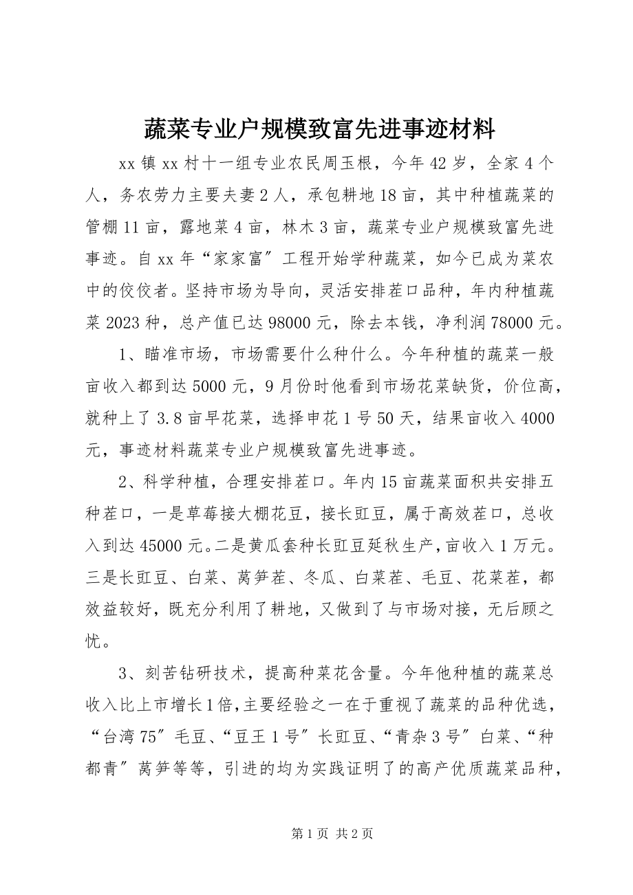 2023年蔬菜专业户规模致富先进事迹材料.docx_第1页