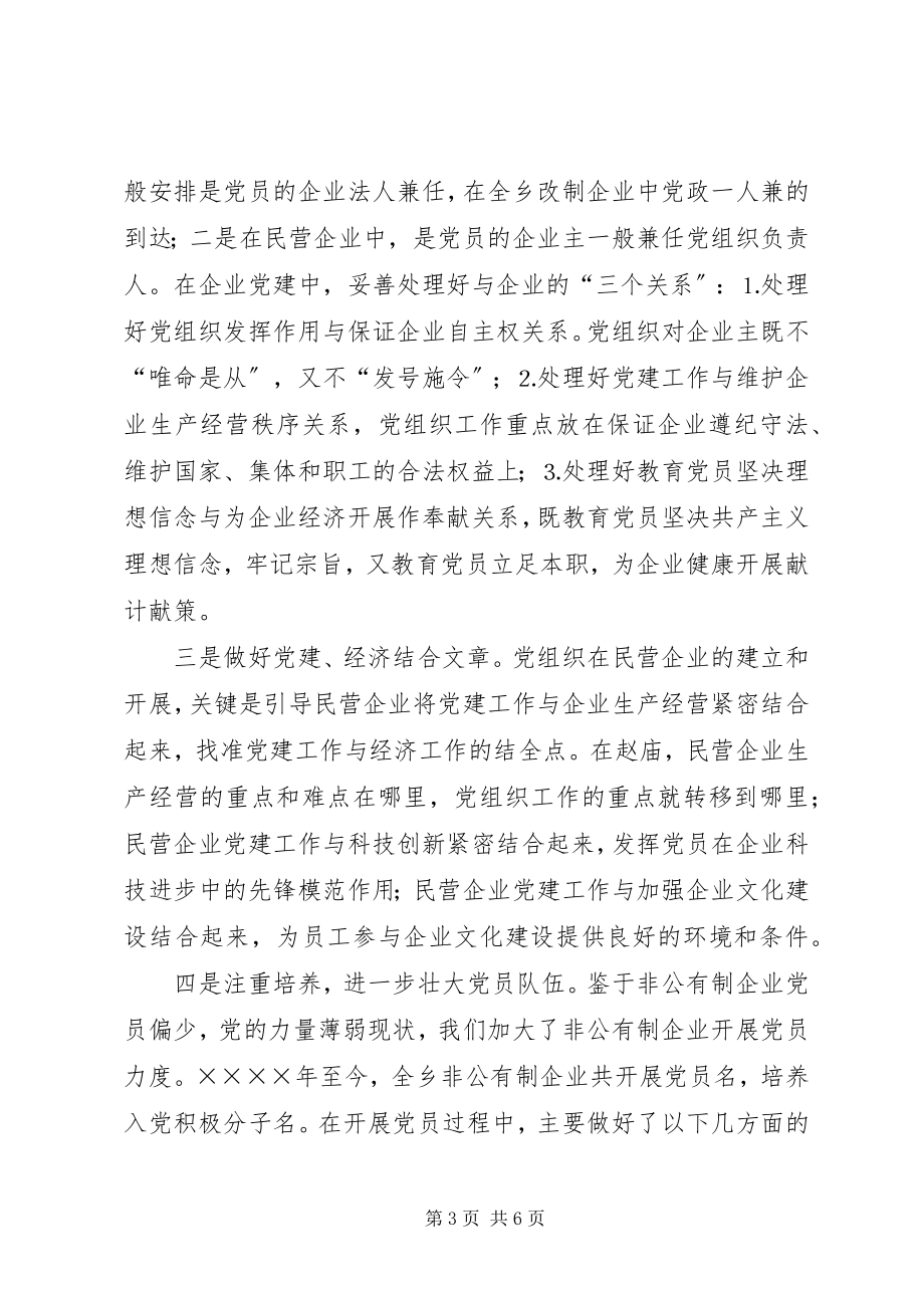 2023年xx乡非公有制经济党建工作总结.docx_第3页