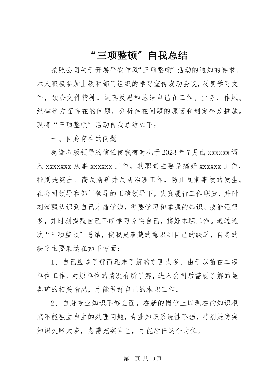 2023年“三项整顿”自我总结新编.docx_第1页