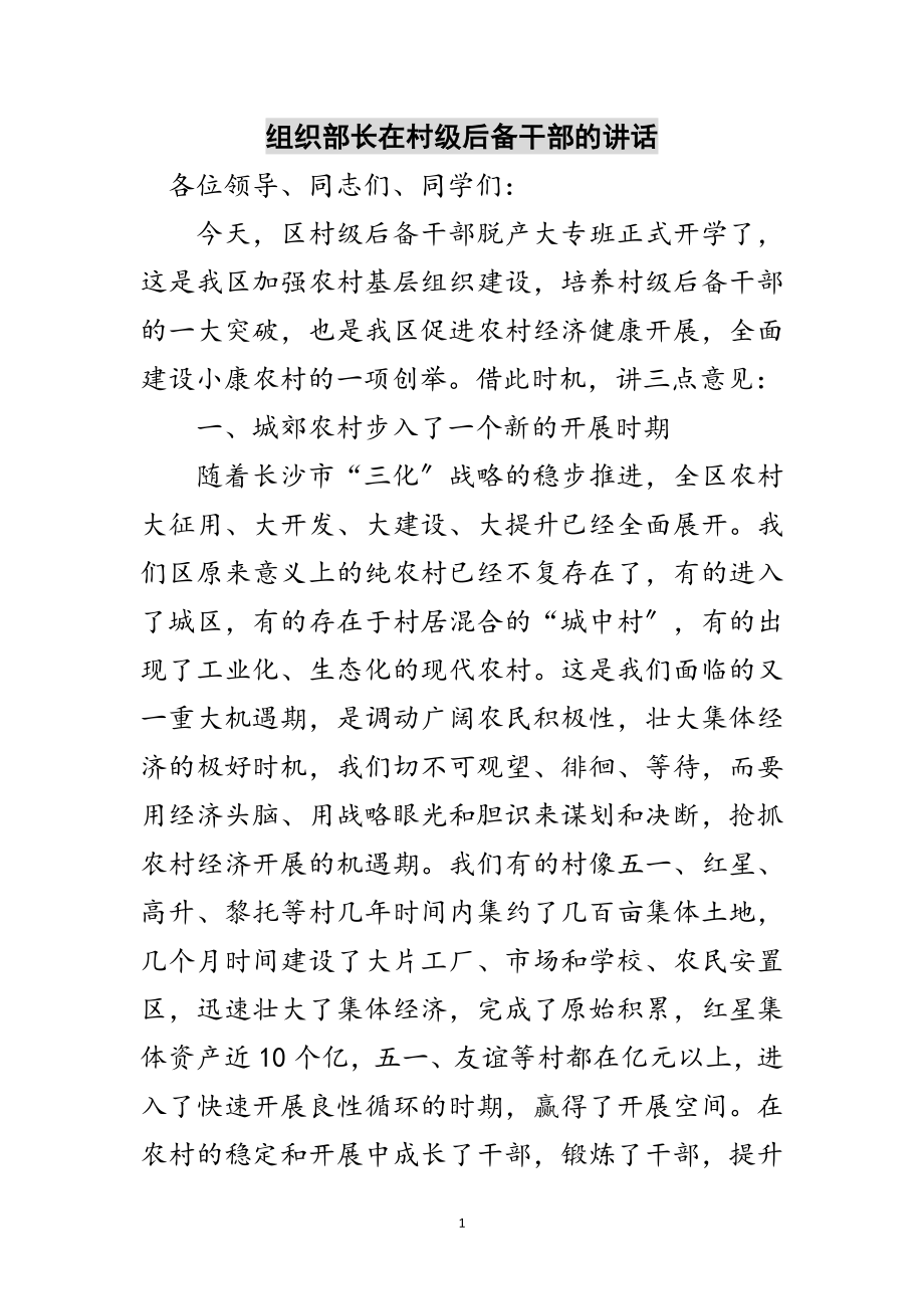 2023年组织部长在村级后备干部的讲话范文.doc_第1页