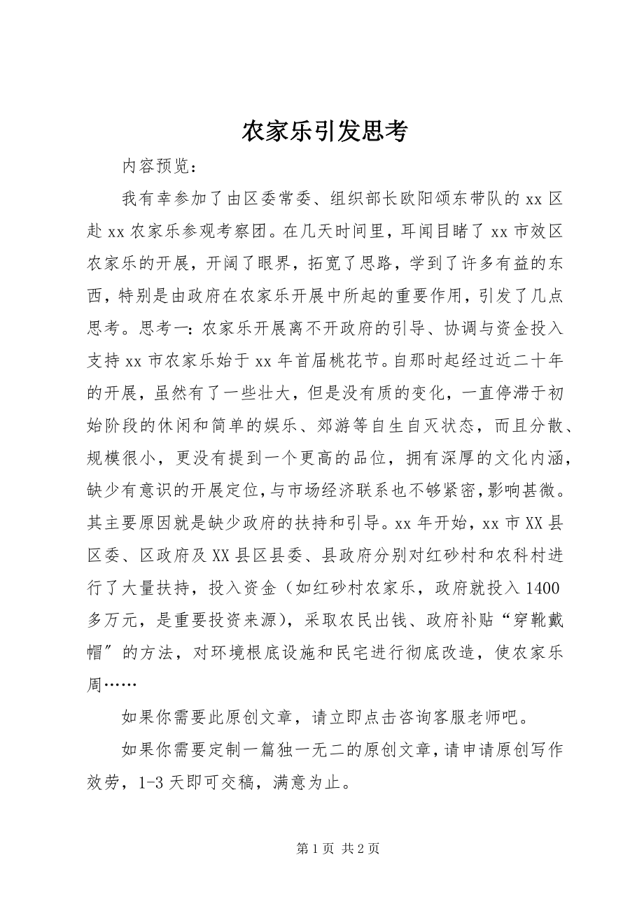 2023年农家乐引发思考.docx_第1页