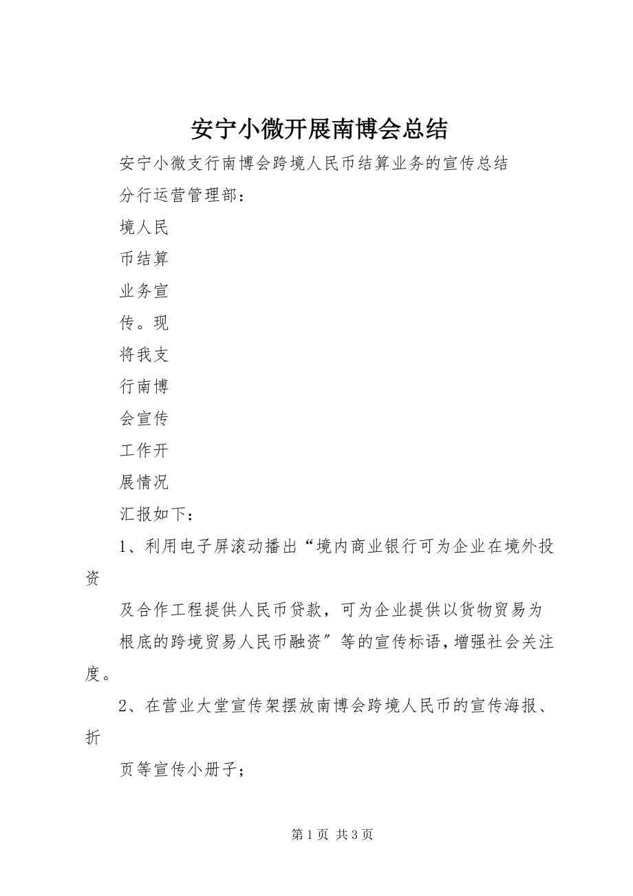 2023年安宁小微开展南博会总结新编.docx_第1页