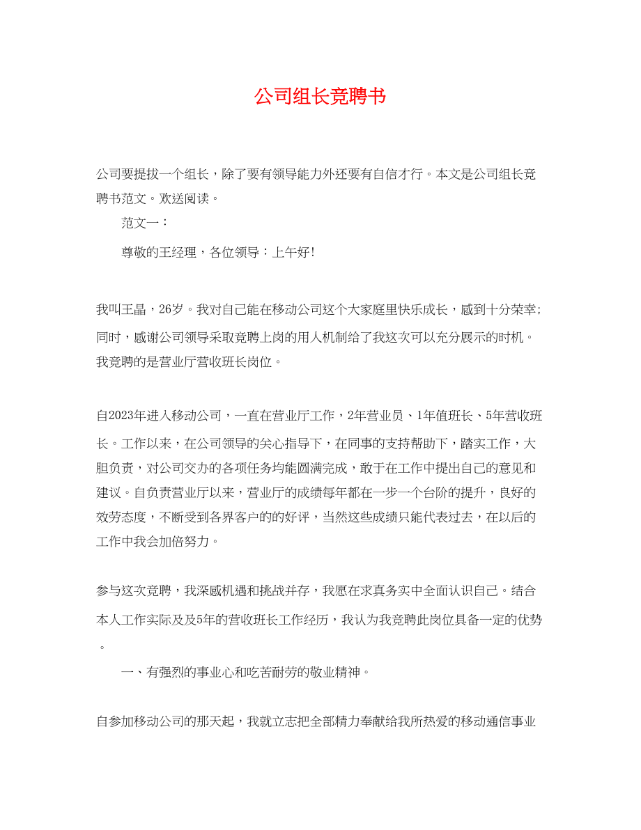 2023年公司组长竞聘书.docx_第1页