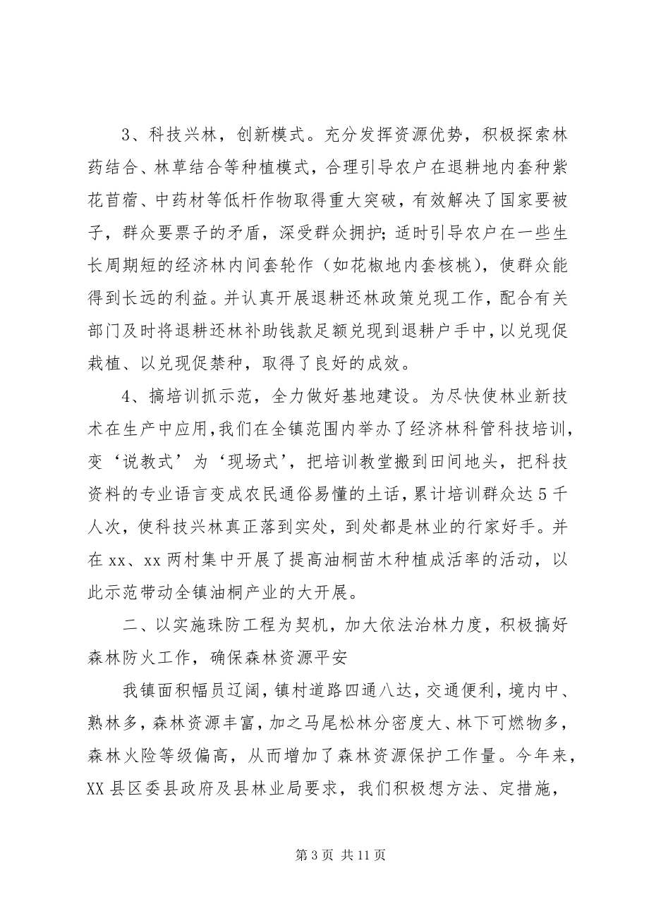 2023年乡镇林业站工作总结.docx_第3页