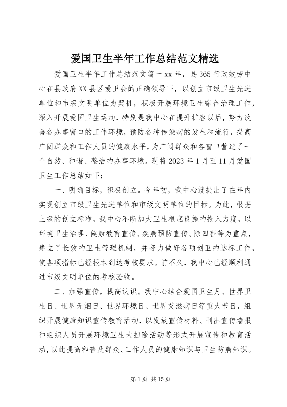 2023年爱国卫生半年工作总结精选新编.docx_第1页