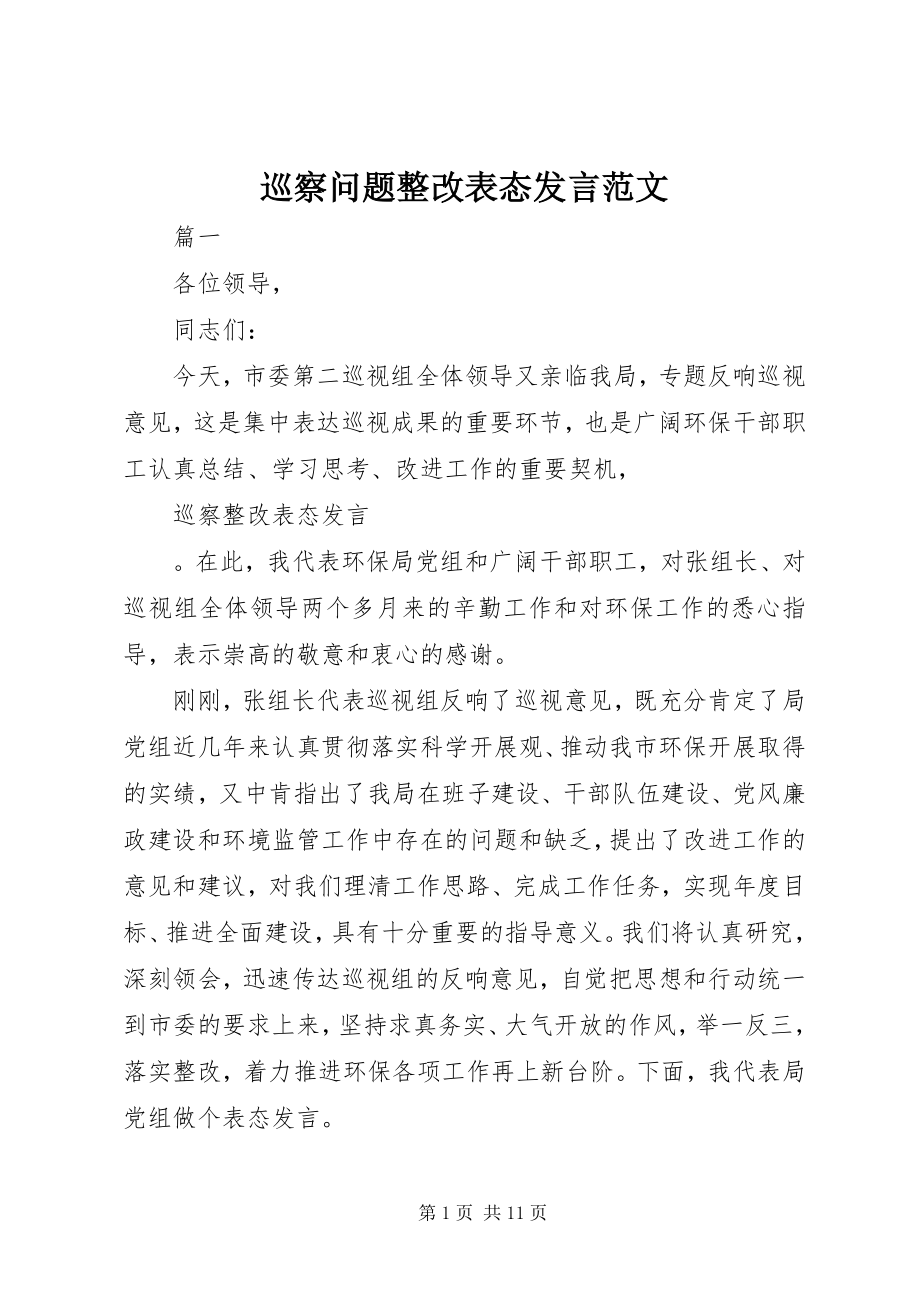 2023年巡察问题整改表态讲话.docx_第1页