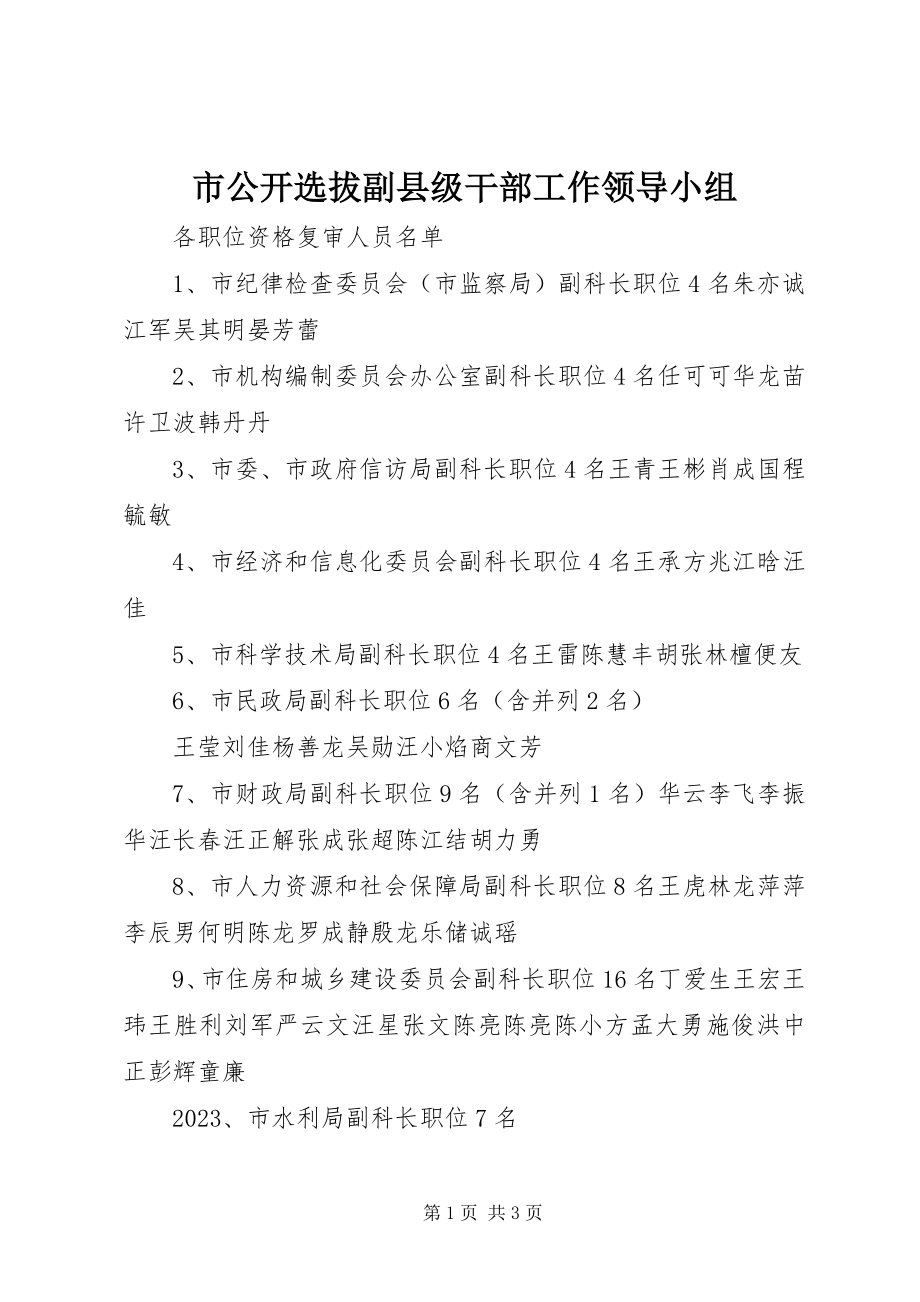 2023年市公开选拔副县级干部工作领导小组.docx_第1页