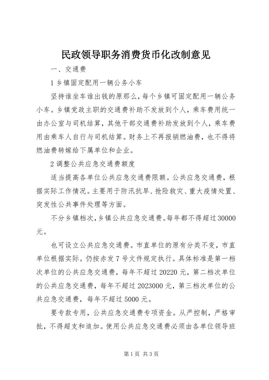 2023年民政领导职务消费货币化改制意见.docx_第1页