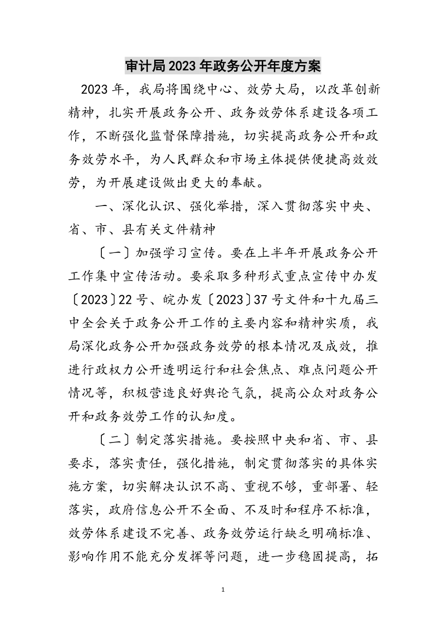 2023年审计局年政务公开年度计划范文.doc_第1页