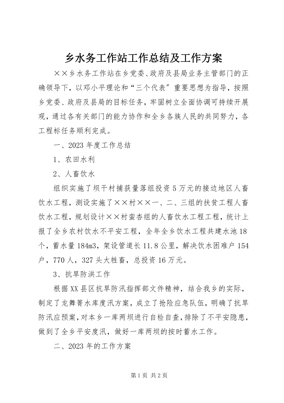 2023年乡水务工作站工作总结及工作计划.docx_第1页