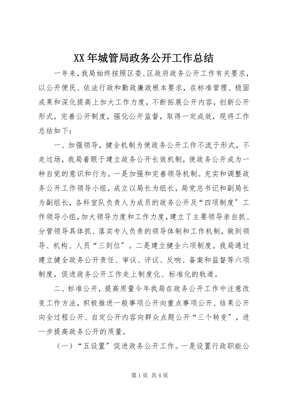 2023年城管局政务公开工作总结.docx_第1页