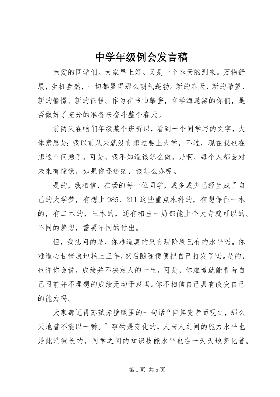 2023年中级例会讲话稿.docx_第1页