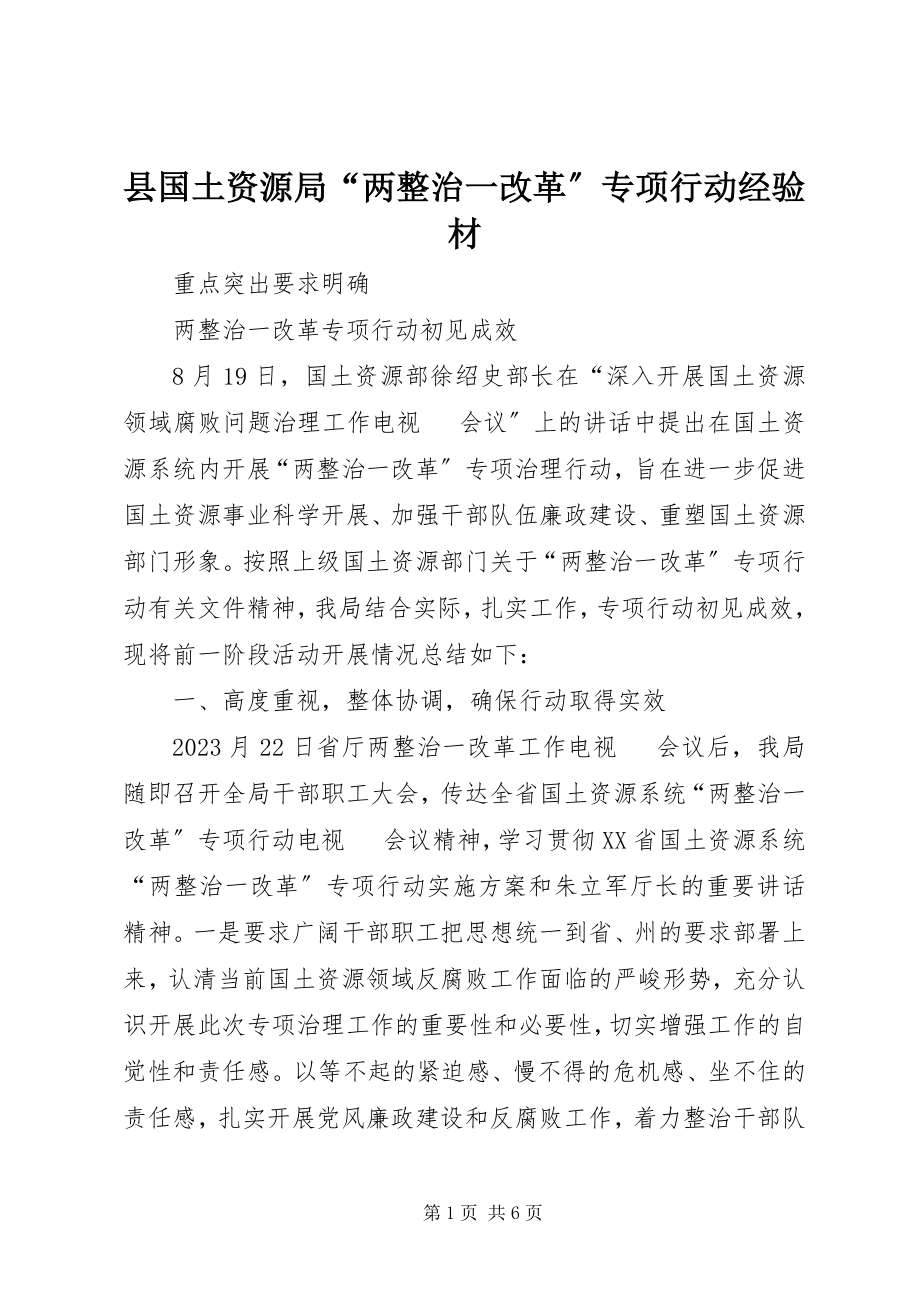 2023年县国土资源局“两整治一改革”专项行动经验材.docx_第1页