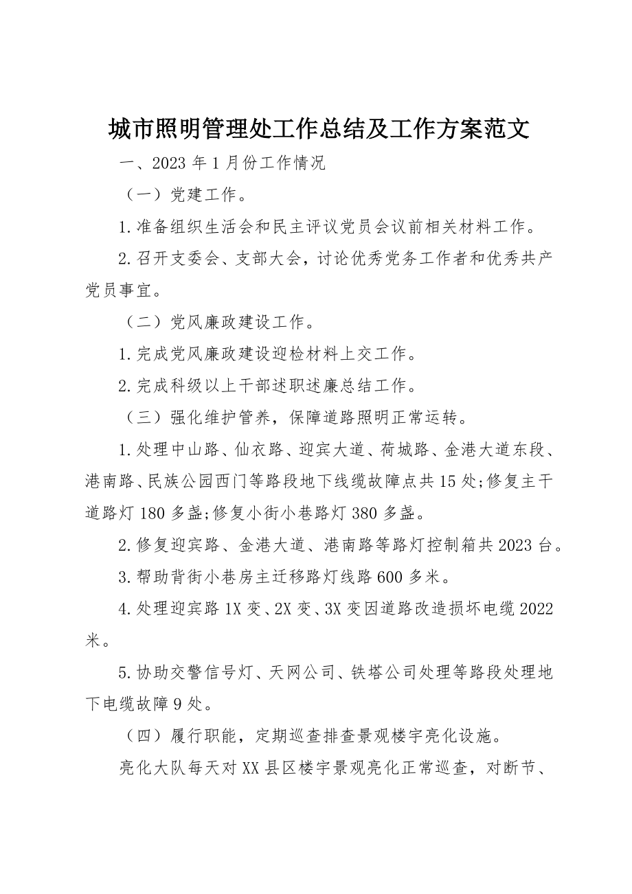 2023年城市照明管理处工作总结及工作计划.docx_第1页