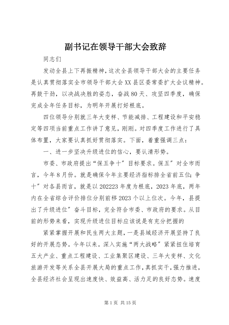 2023年副书记在领导干部大会致辞.docx_第1页