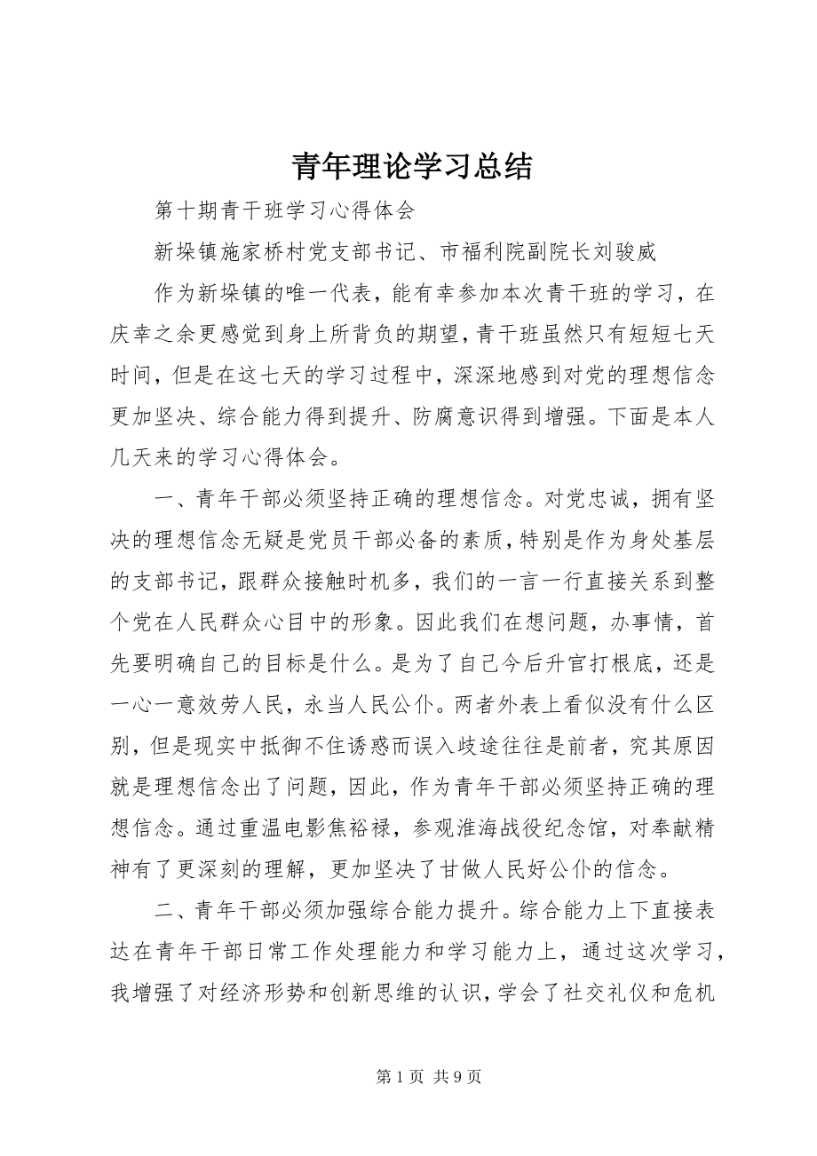 2023年青年理论学习总结.docx_第1页