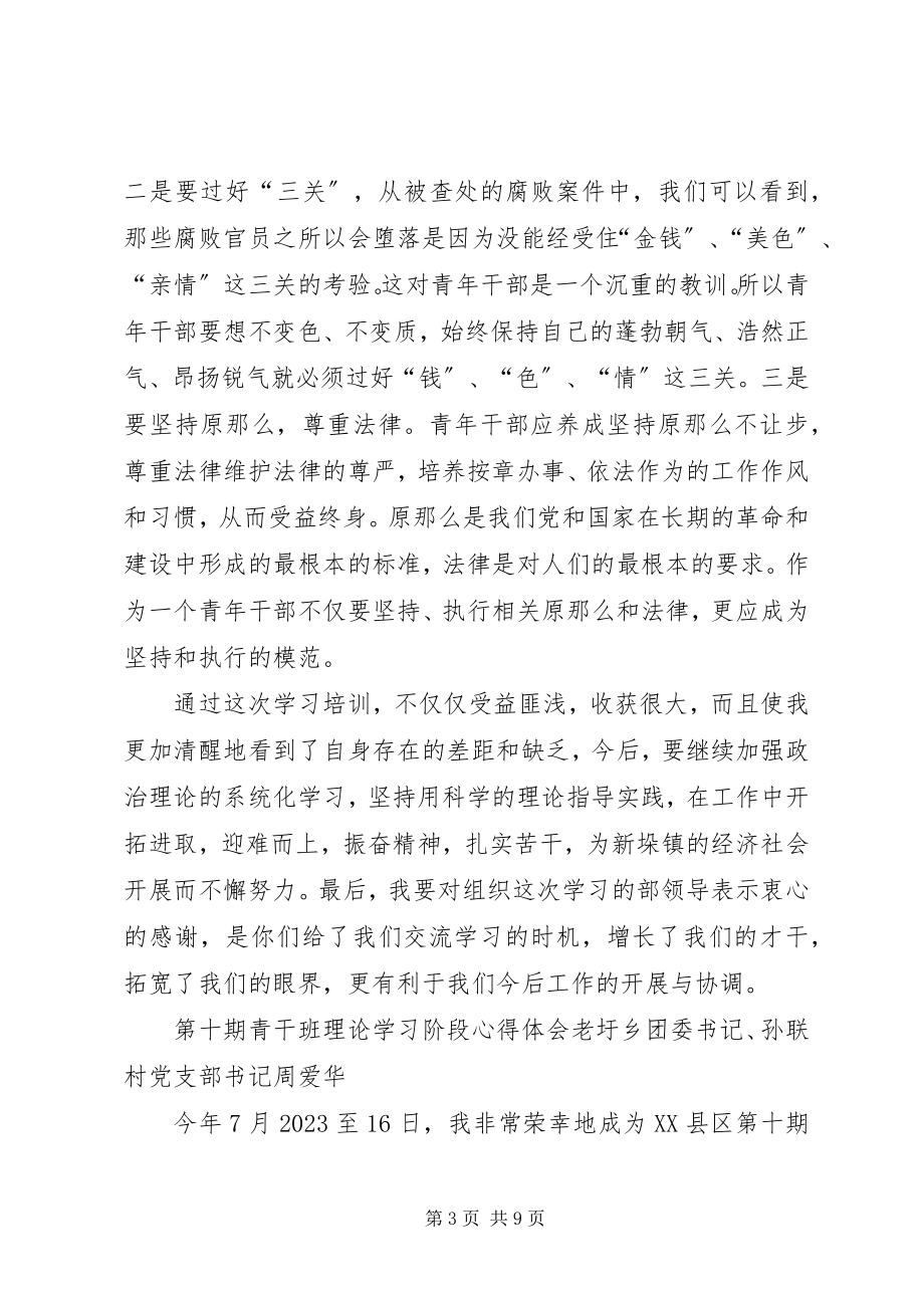 2023年青年理论学习总结.docx_第3页