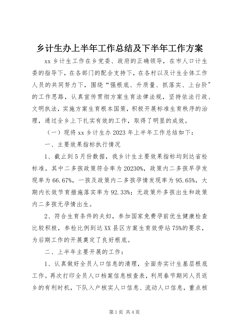 2023年乡计生办上半年工作总结及下半年工作计划.docx_第1页