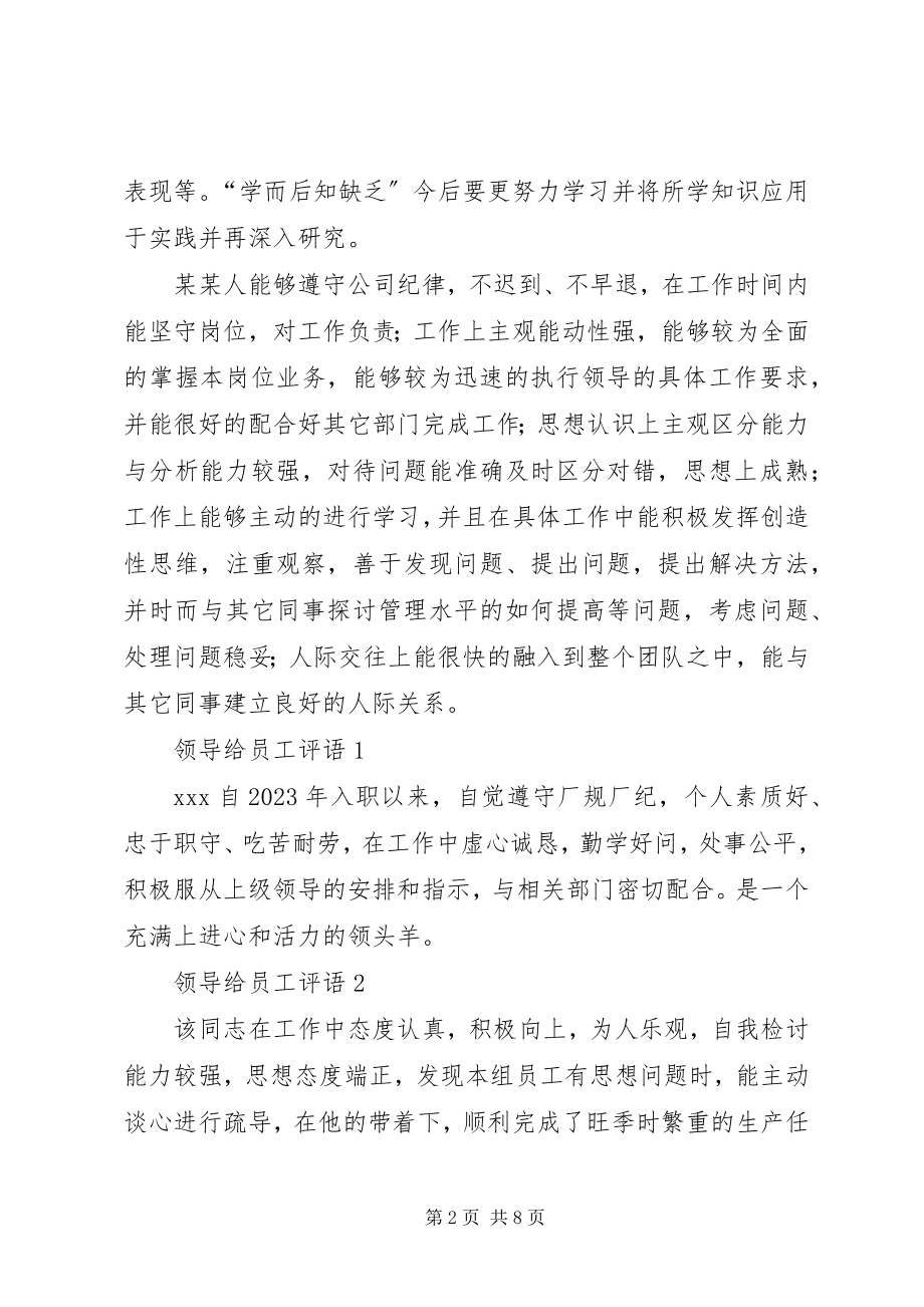 2023年评价一个人的工作能力.docx_第2页