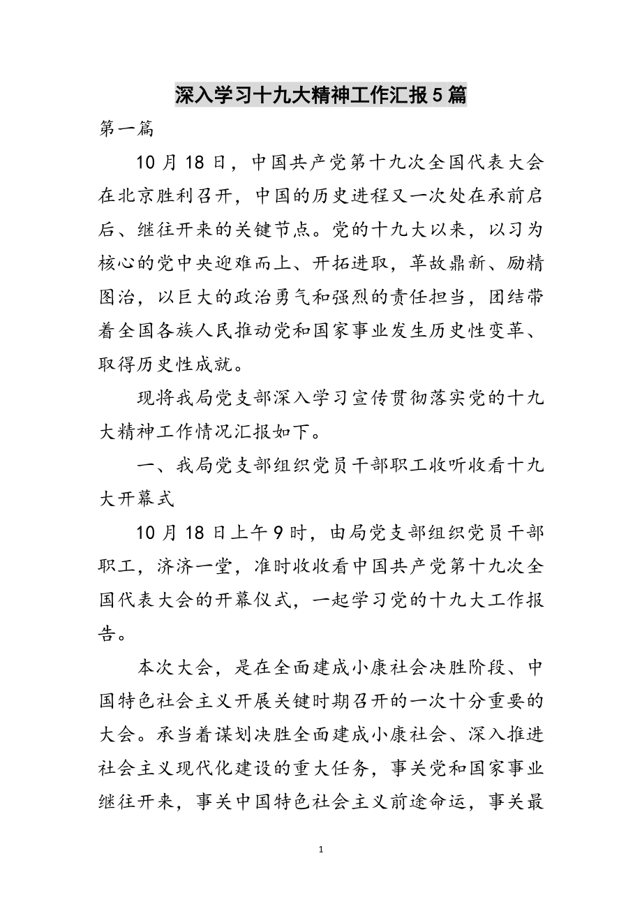 2023年深入学习十九大精神工作汇报5篇范文.doc_第1页