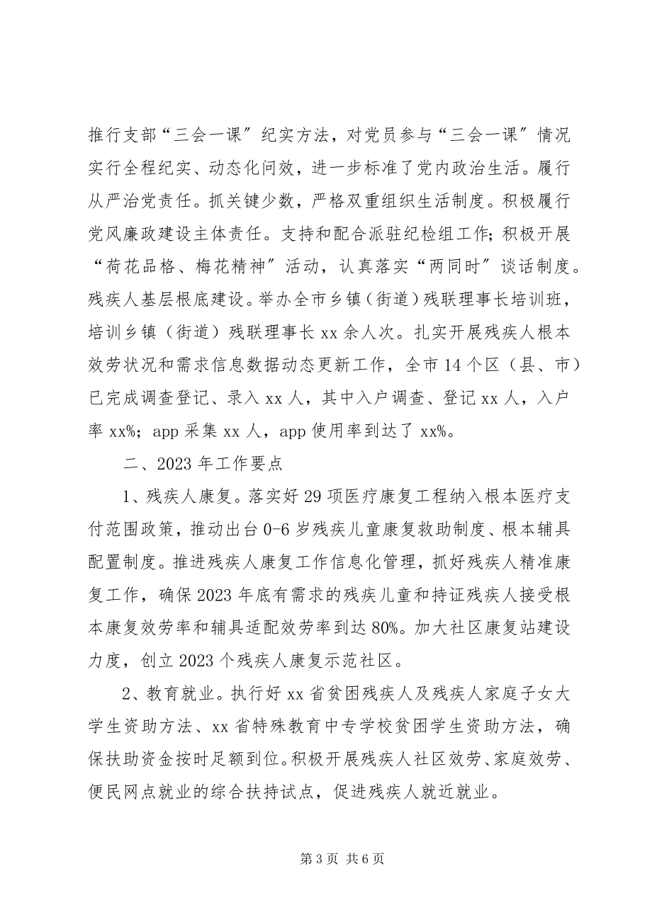 2023年残联工作总结及工作安排新编.docx_第3页