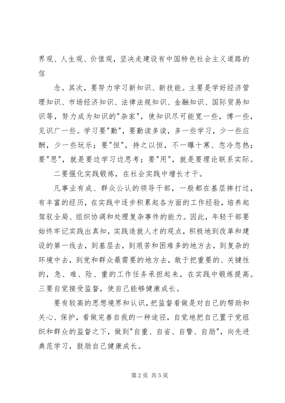 2023年轻干部访谈提纲.docx_第2页