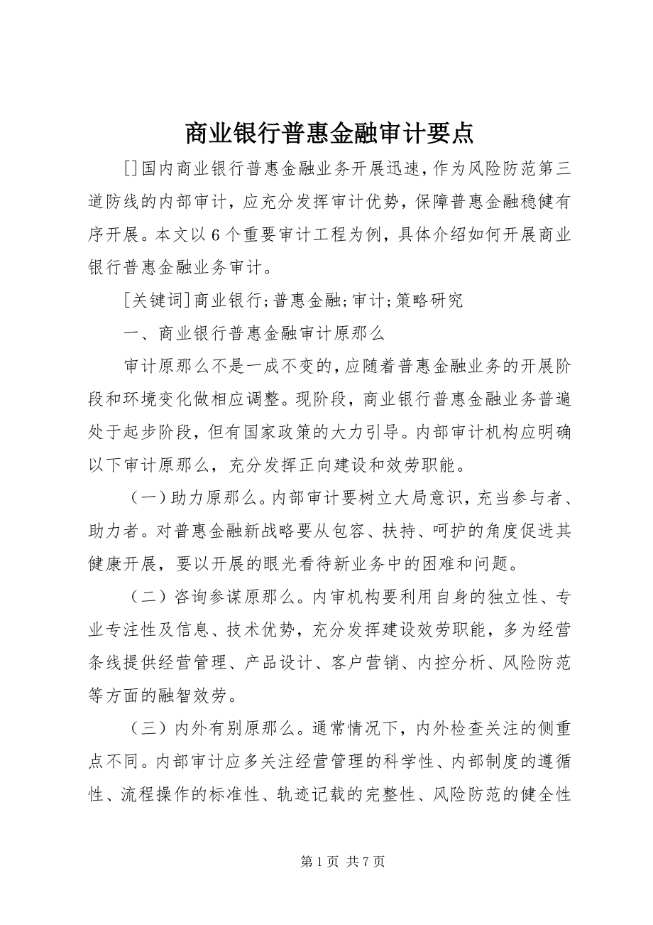 2023年商业银行普惠金融审计要点.docx_第1页