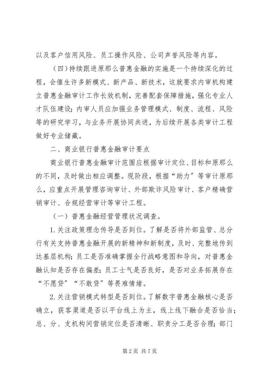 2023年商业银行普惠金融审计要点.docx_第2页