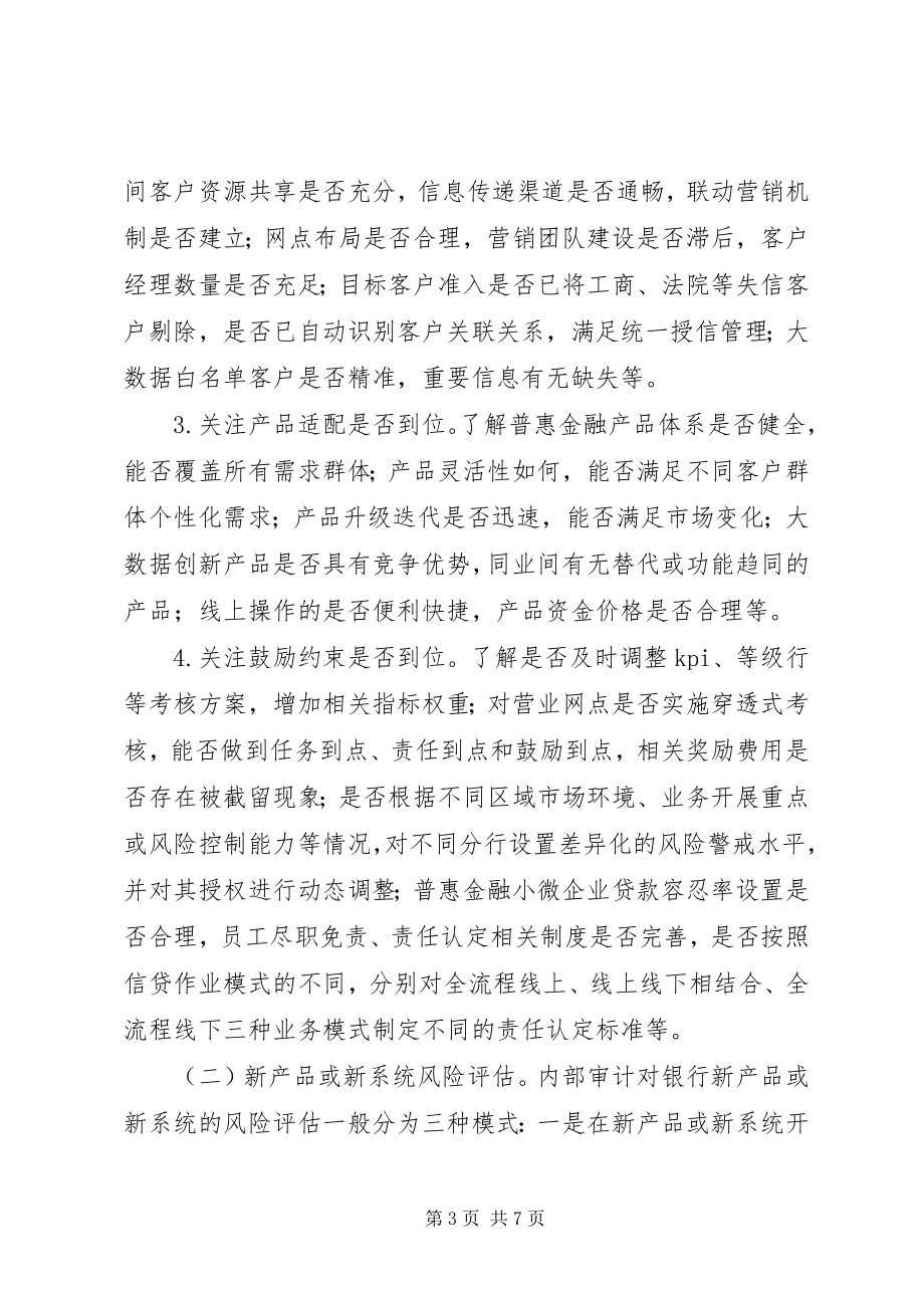 2023年商业银行普惠金融审计要点.docx_第3页